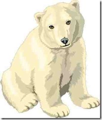 bear-polarneo1